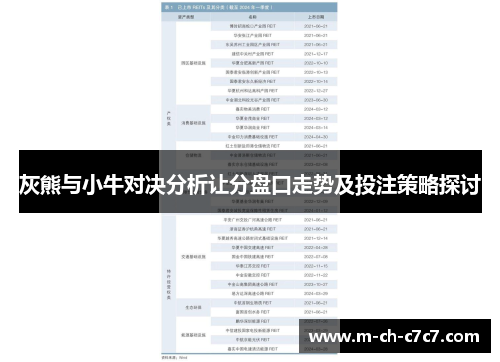 灰熊与小牛对决分析让分盘口走势及投注策略探讨