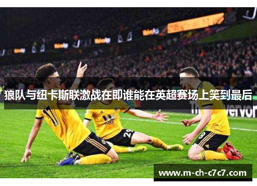 狼队与纽卡斯联激战在即谁能在英超赛场上笑到最后