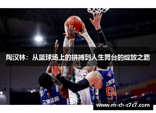 陶汉林：从篮球场上的拼搏到人生舞台的绽放之路